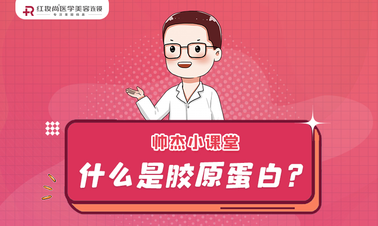 【帅杰小课堂】什么是胶原蛋白？